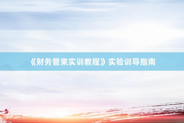 《财务管束实训教程》实验训导指南
