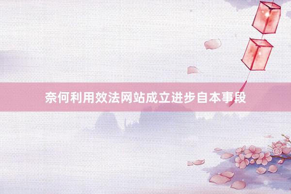 奈何利用效法网站成立进步自本事段