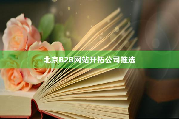 北京B2B网站开拓公司推选