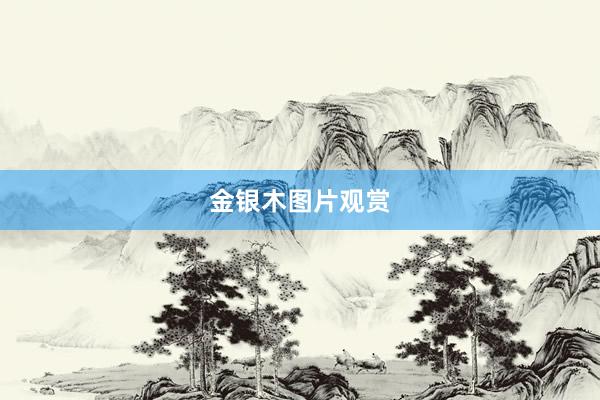 金银木图片观赏