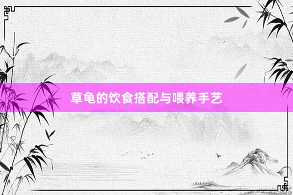 草龟的饮食搭配与喂养手艺